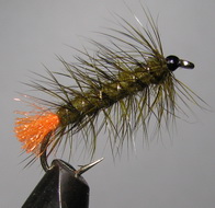 ���� ������ PLM 018  olive # 6